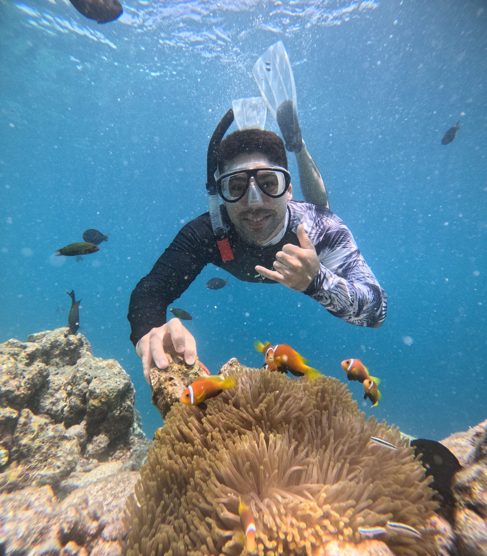 Snorkel libre entre peces payaso en Maldivas